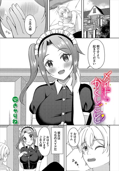 メイドのかくしごと [文苑堂][きゃりね,コミックバベル編集部][b472abnen02914][パッケージ画像]