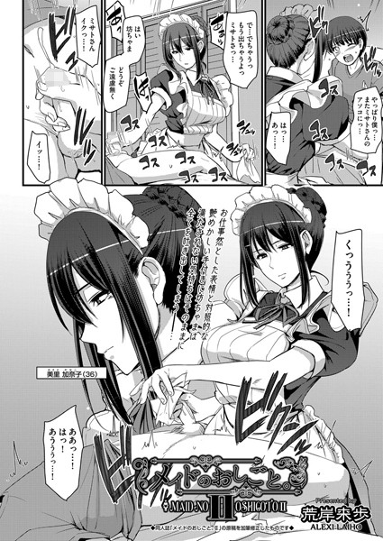 メイドのおしごと。II [ヒット出版社][荒岸来歩][b120ahit02055][パッケージ画像]