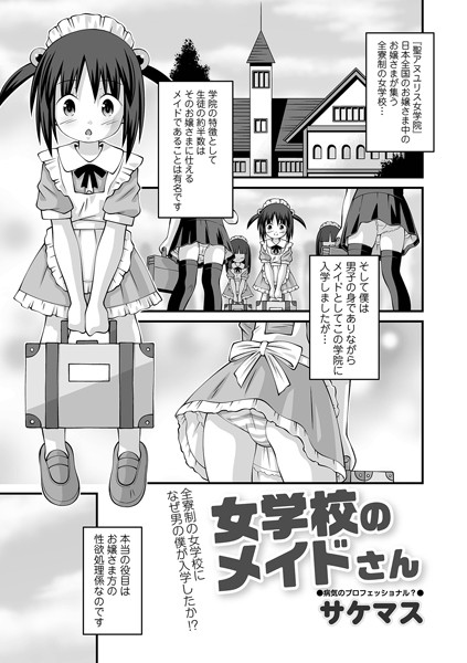 女学校のメイドさん [一水社][サケマス,一水社編集部][b164aisis05291][パッケージ画像]