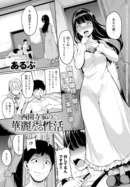 西園寺家の華麗なる性活 後編 [ジーオーティー][あるぷ][b399agoar01504][パッケージ画像]