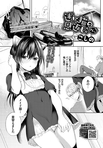 迷い猫の恩返し さんっ [文苑堂][こしの,コミックバベル編集部][b472abnen01463][パッケージ画像]