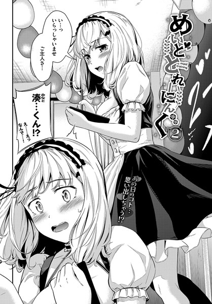 めいどとれーにんぐ2 [文苑堂][羽原ヒロ,コミックバベル編集部][b472abnen02651][パッケージ画像]