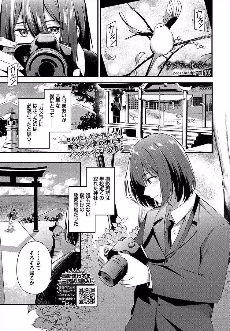 文苑堂 / 関谷あさみ,マキナゼロ,tatapopo,きろめ,箱れぇま,秋津Tombo!,間島白幸,煤雲なぎ,蛸田こぬ,Nao,コットン,萠乃雪路,シもん,のーびす鳥,ぬるまユ,せきつい,みきちか,チョチョミ,オジョウ,佐藤ミズ,大嘘,夢乃狸,宏式,コミックバベル編集部,そら豆さん,羽原ヒロ,氷室しゅんすけ,ちろたた,櫻井マキ,紺菓,魚山ケイジ,あおやまきいろ。,東條土筆,牛タン,湊ゆう,ねしあ - COMIC BAVEL 2024年10月号 (10)
