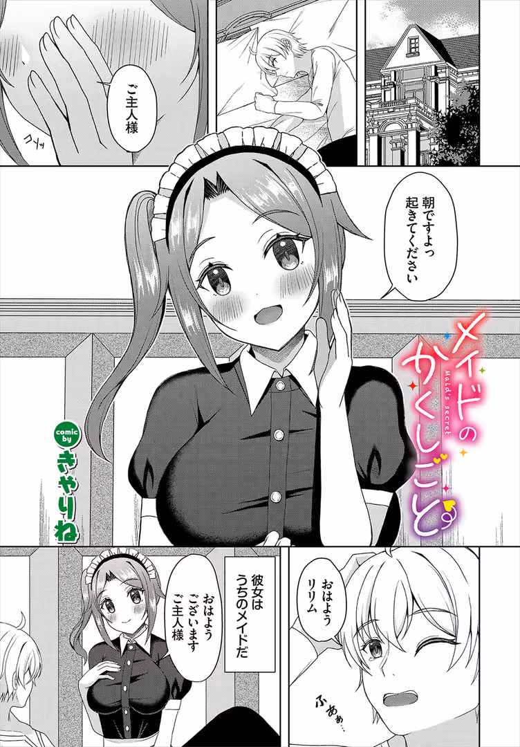 文苑堂 / きゃりね,コミックバベル編集部 - メイドのかくしごと (1)