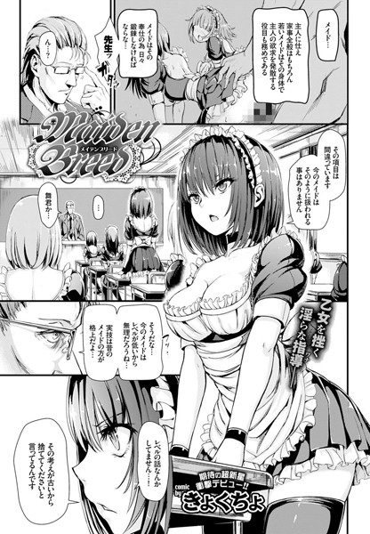 Maiden Breed [文苑堂][きょくちょ][b579abbl00351][パッケージ画像]