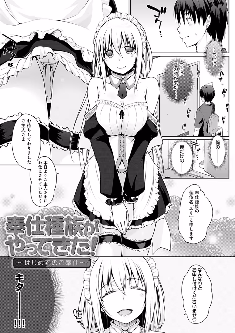 ジーオーティー / かいづか - 奉仕種族がやってきた! (3)
