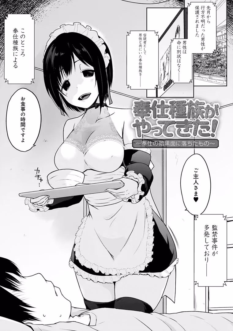 ジーオーティー / かいづか - 奉仕種族がやってきた! (13)