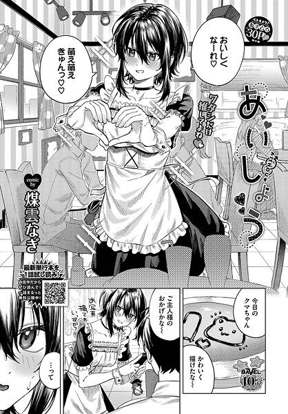 あいしょう [文苑堂][煤雲なぎ,コミックバベル編集部][b472abnen03338][パッケージ画像]