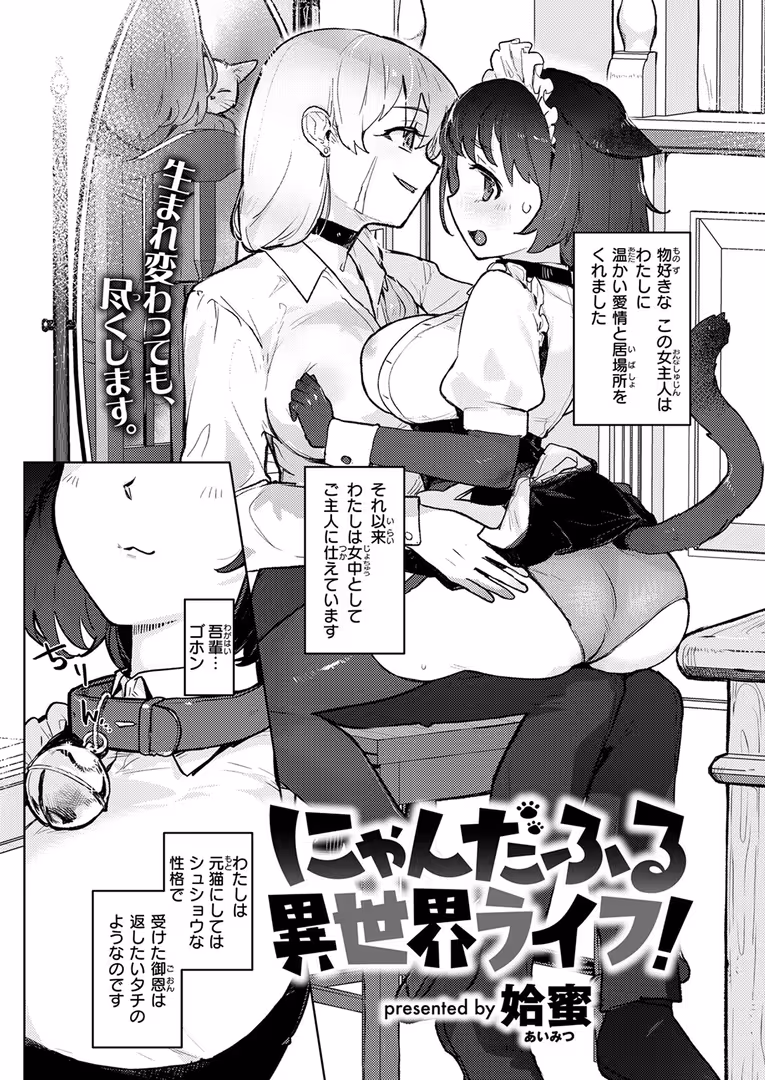 ワニマガジン社 / Croriin,ミャモ,おさとう,おから,姶蜜,紅涙,亀吉いちこ,しあのぴか☆ぎゅーい,燵成,想々,折尾ねじ,猪豚,チロ田ろち - 異世快楽天SELECTION 2025 SUMMER (44)