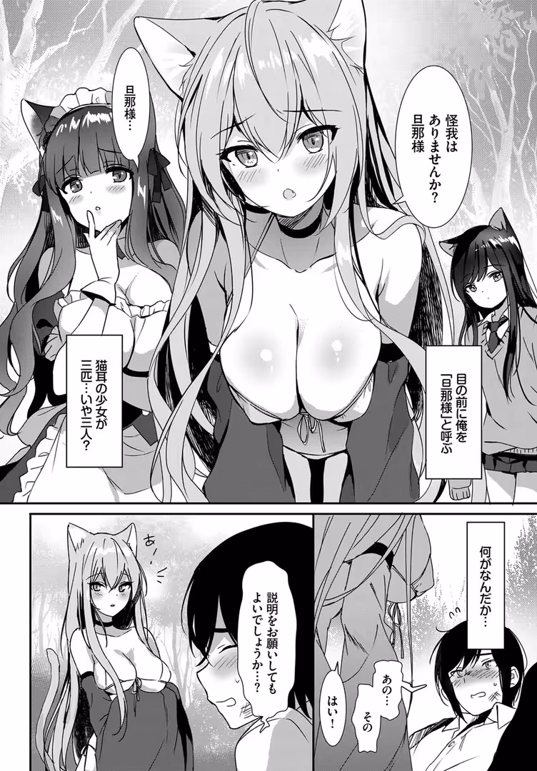 文苑堂 / dasui*,朝峰テル,ヤマダユウヤ,fu-ta,emily,コミックバベル編集部,柿野なしこ - ねこ耳娘は発情期 2匹目 (20)